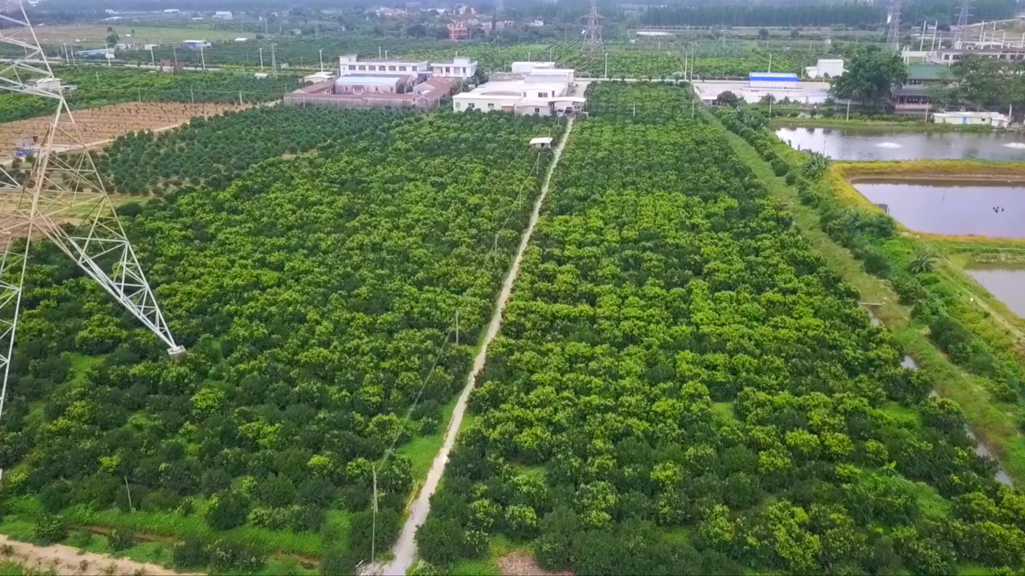 載入影片：